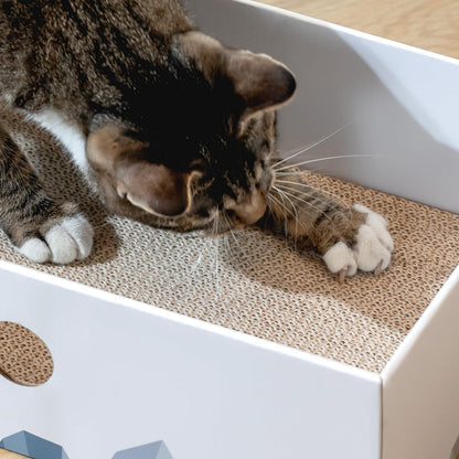Cat Scratcher Box with Heavy-Duty Double-Sided Cardboard Pad, Cardboard Lounger, Interactive Hole Design, Cat Bed for Indoor Cats, White, Large