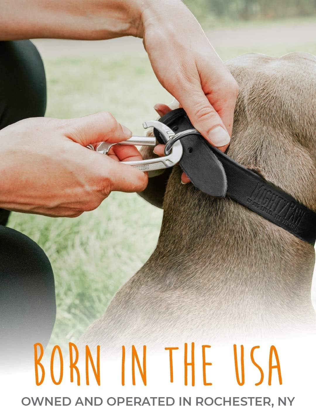 Leather Dog Collar - Genuine Distressed Leather - Strong Metal Buckle - Ultimate Comfort - Modern Style for All Dogs Breeds - Comfort Puppy Collar - (Medium - Black)