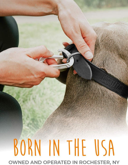 Leather Dog Collar - Genuine Distressed Leather - Strong Metal Buckle - Ultimate Comfort - Modern Style for All Dogs Breeds - Comfort Puppy Collar - (Medium - Black)