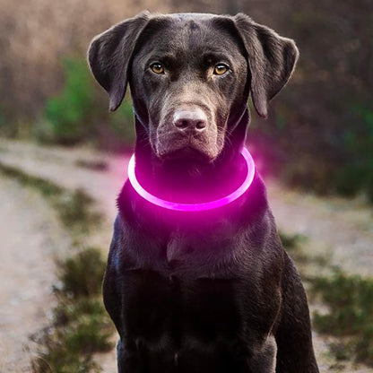LED Dog Collar, USB Rechargeable Light up Dog Collars Glow in the Dark, Waterproof LED Dog Necklace for Your Dogs Walking at Night (Pink)