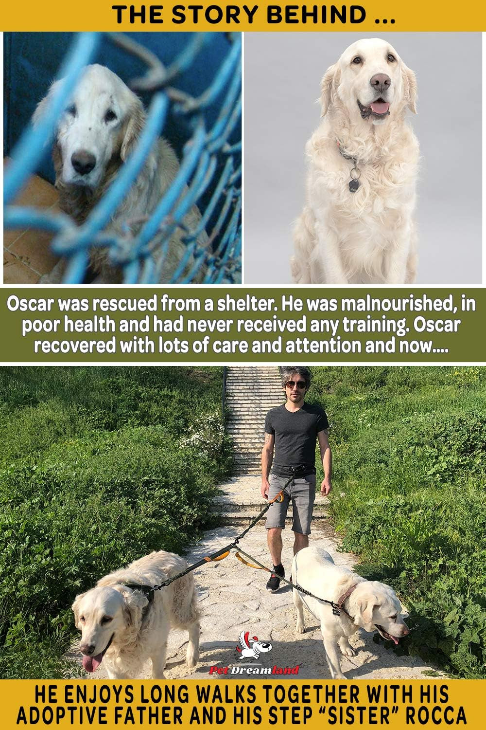 Exquisite Dual Dog Leash Coupler No Tangle Swivel. Premium Quality & Perfect for Walking Two Medium Dogs. You Will Absolutely Love This Amazing Double Attachment (Black & Red)