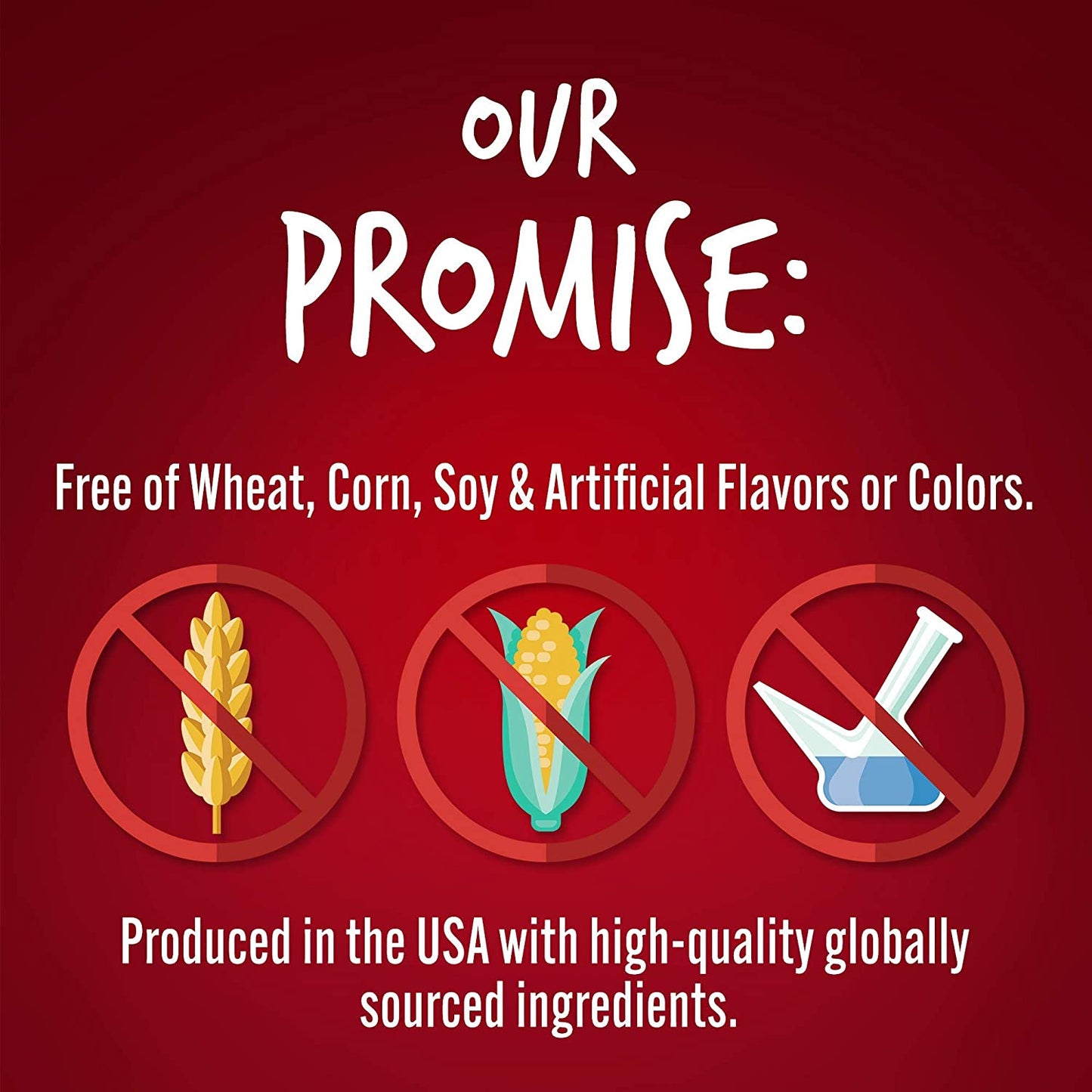 Greek Yogurt Dog Treats | Healthy Treats for Dogs | Baked Pumpkin Treats for Dogs | Free of Wheat, Corn and Soy