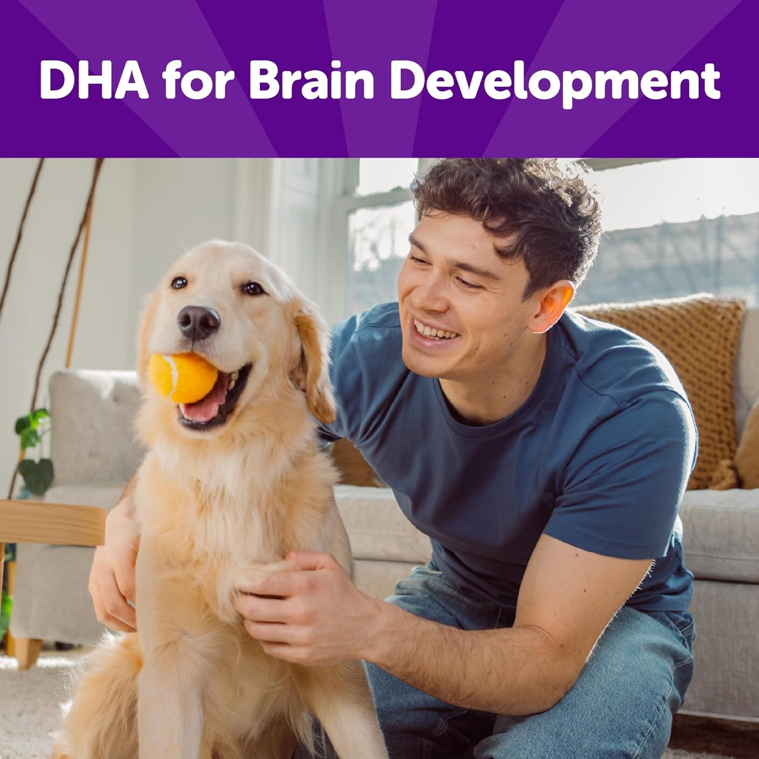 Rewarding Life Dog Treats, Training Treat, Grain Free, Soft Chicken & Lamb (6 Ounce Bag)