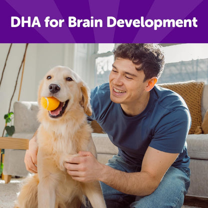 Rewarding Life Dog Treats, Training Treat, Grain Free, Soft Chicken & Lamb (6 Ounce Bag)