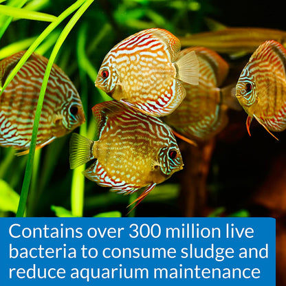 STRESS ZYME Freshwater and Saltwater Aquarium Cleaning Solution 16-Ounce Bottle