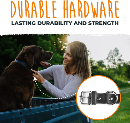 Leather Dog Collar - Genuine Distressed Leather - Strong Metal Buckle - Ultimate Comfort - Modern Style for All Dogs Breeds - Comfort Puppy Collar - (Medium - Black)