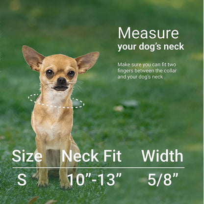 Nylon Dog Collar Aztec Geometric Pattern Ethnic Teal 10-13 Inch