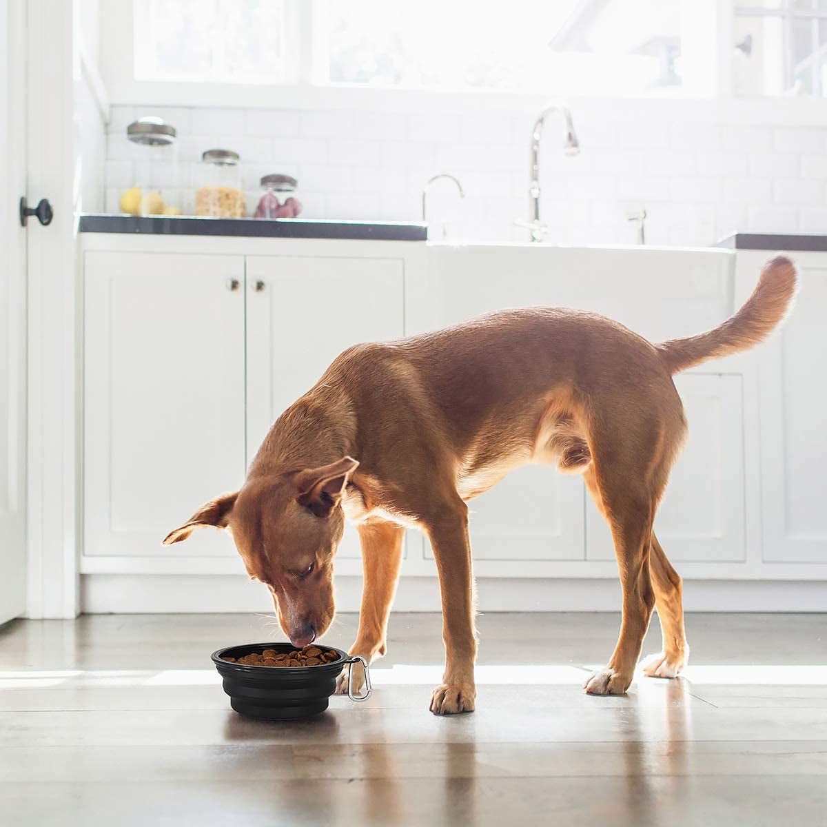 Large Collapsible Dog Bowls 2 Pack, 34Oz Foldable Dog Travel Bowl, Portable Pet Water Food Bowl with Clasp, Pet Cat Feeding Cup Dish for Traveling, Walking, Hiking (Black+Black)