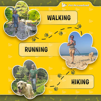 Exquisite Handsfree Dog Leash for Large Dogs. Ultimate Comfort & Freedom for Walking and Hiking. Premium Quality, Durable & Versatile Waist Belt. Your Dog Will Love This Running Leash.