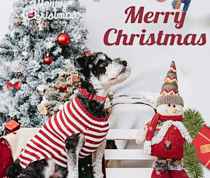 Christmas Dog Collar - Premium Adjustable Dog Collar for Small Medium Large Dogs (Christmas, S)