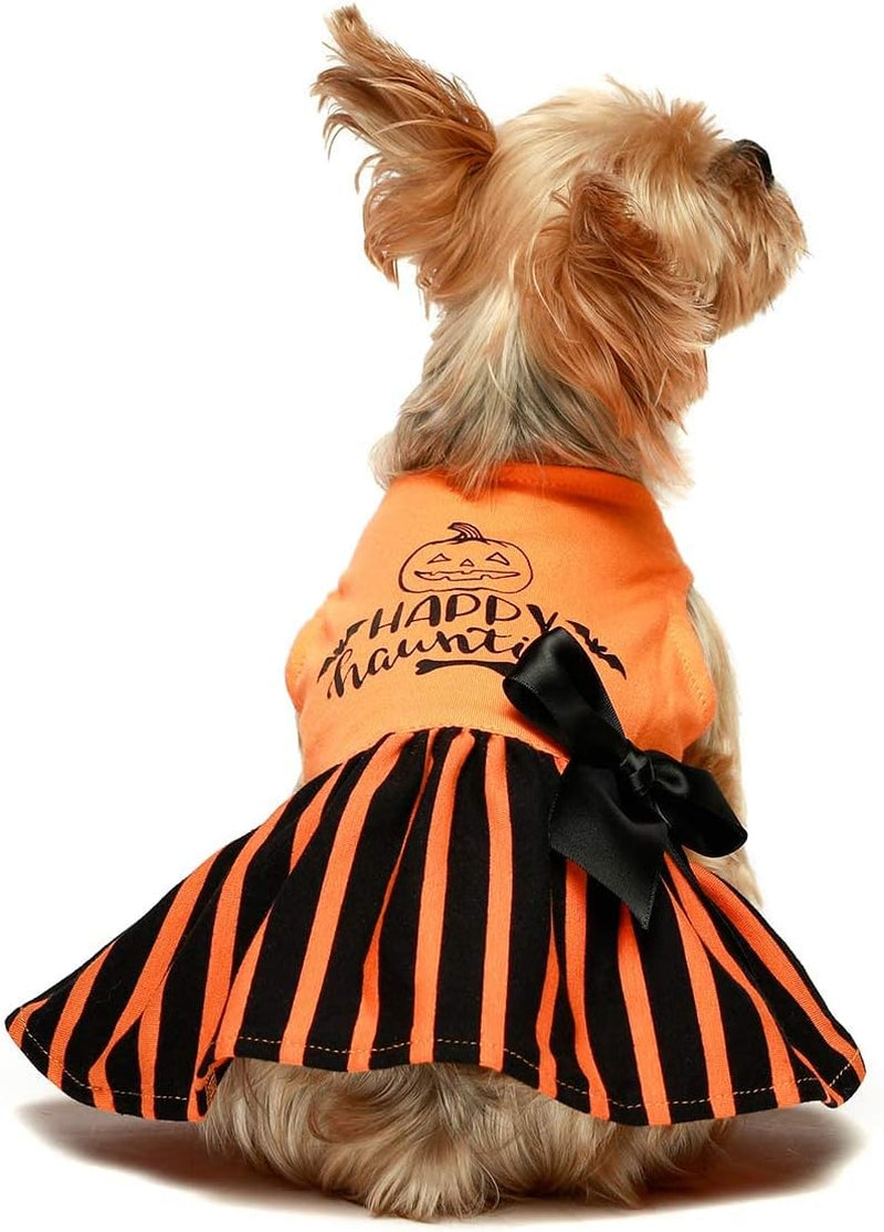Halloween Dog Dresses Puppy Party Costumes Doggie Shirts Cat Outfits Orange Medium