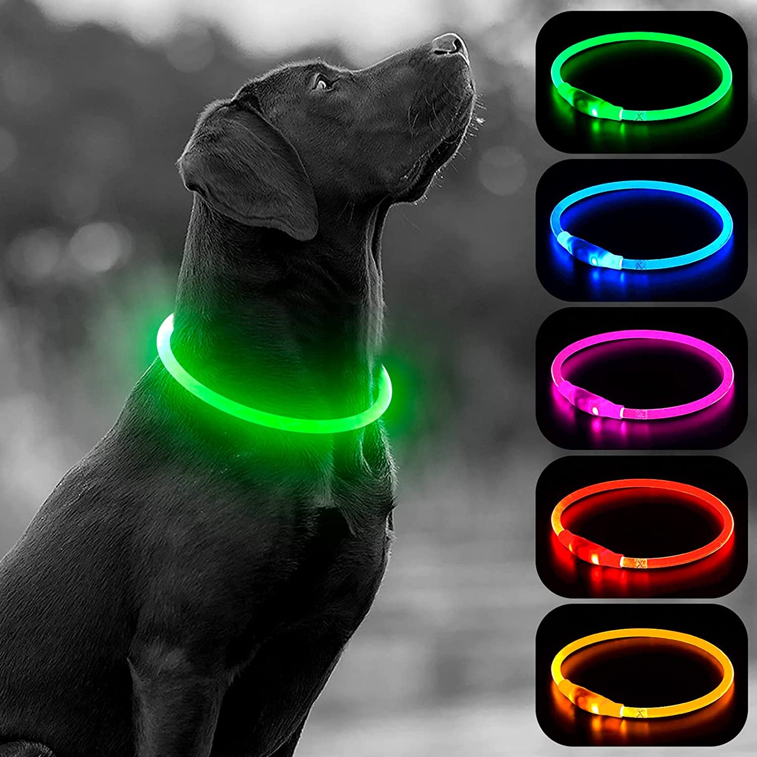 Light up Dog Collars, USB Rechargeable LED Dog Collar, TPU Cuttable Dog Glow Collar, High Visibility Puppy Collar Safety Dog Lights for Night Walking(Green)