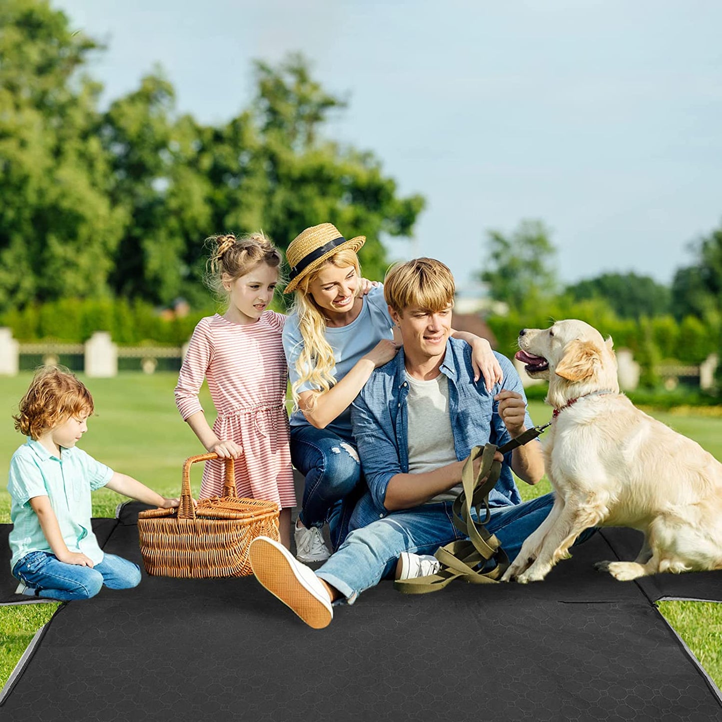 Dog Car Seat Cover for Back Seat, 2025 Upgraded 600D Heavy Duty Waterproof & Scratch-Resistant Dog Hammock for Car, Back Seat Pet Cover for Dogs with Sedan, Trucks and Suvs, Standard, Black