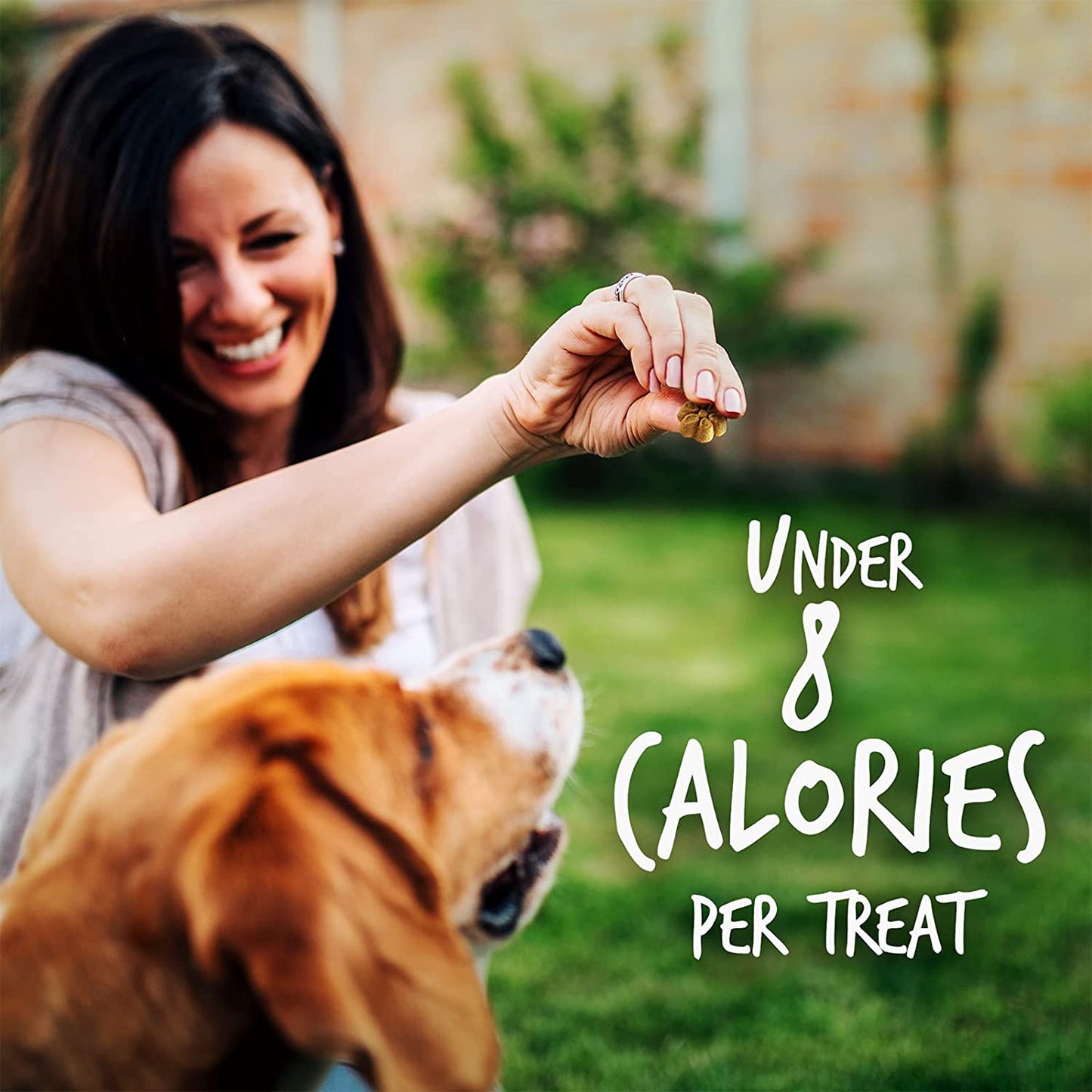 Greek Yogurt Dog Treats | Healthy Treats for Dogs | Baked Pumpkin Treats for Dogs | Free of Wheat, Corn and Soy