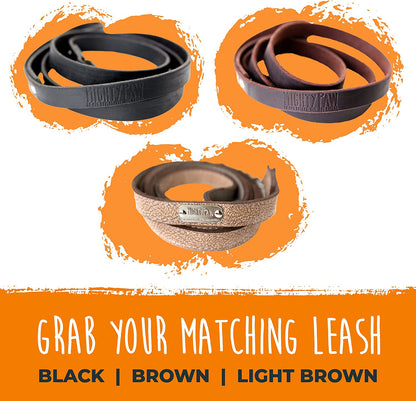 Leather Dog Collar - Genuine Distressed Leather - Strong Metal Buckle - Ultimate Comfort - Modern Style for All Dogs Breeds - Comfort Puppy Collar - (Medium - Black)