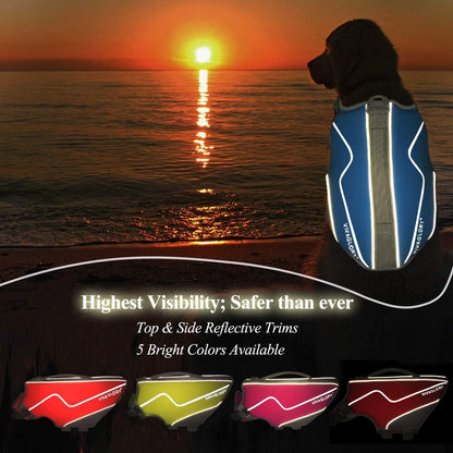 Neoprene Dog Life Vest, Dog Life Jacket for Swimming & Boating, Lightweight & Buoyancy for Puppy Doggy, Swimming Vest with Handle, M, Blue