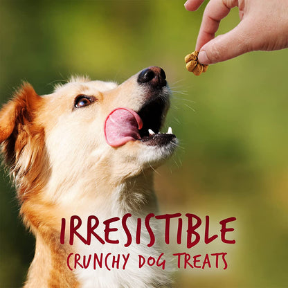 Greek Yogurt Dog Treats | Healthy Treats for Dogs | Baked Pumpkin Treats for Dogs | Free of Wheat, Corn and Soy