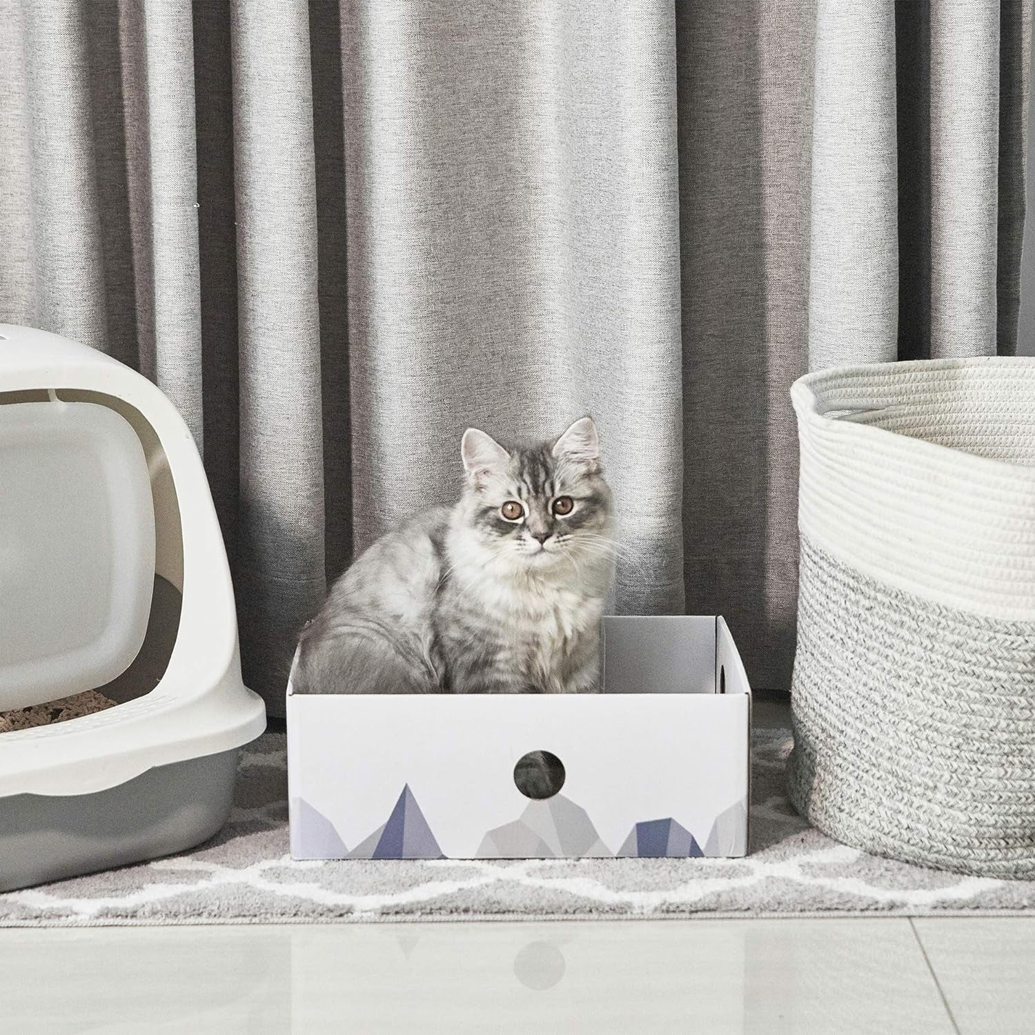 Cat Scratcher Box with Heavy-Duty Double-Sided Cardboard Pad, Cardboard Lounger, Interactive Hole Design, Cat Bed for Indoor Cats, White, Large