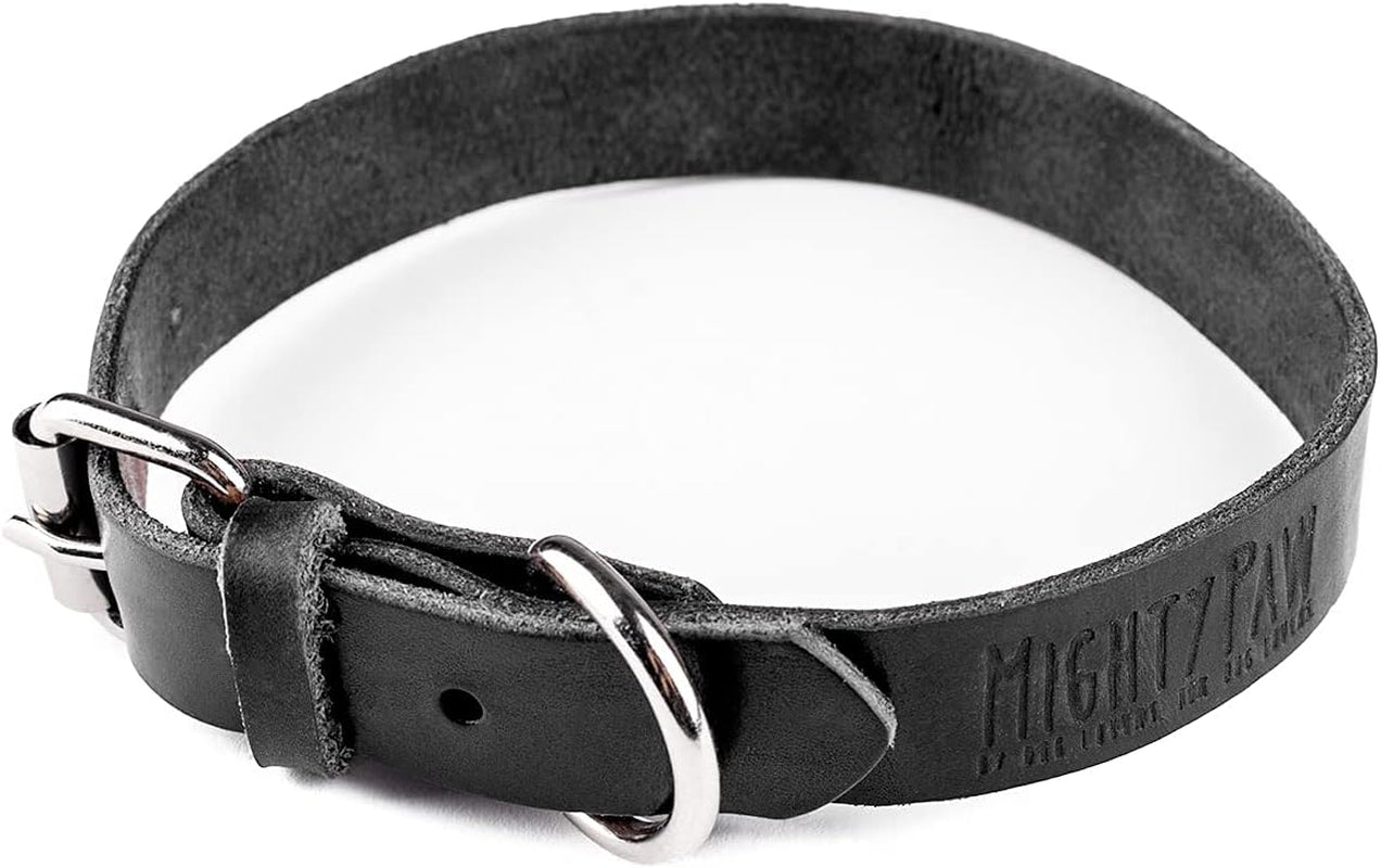 Leather Dog Collar - Genuine Distressed Leather - Strong Metal Buckle - Ultimate Comfort - Modern Style for All Dogs Breeds - Comfort Puppy Collar - (Medium - Black)